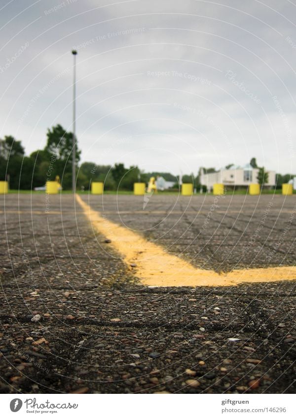 rattenperspektive Parkplatz Bodenmarkierung Laterne Baum leer grau Industrie Verkehrswege Bodenbelag Linie Schilder & Markierungen parking lot ground line