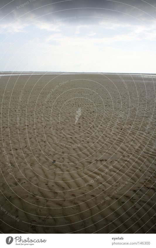 Freie Sicht bis zu den Alpen Küste Strand Wolken Herbst Ebbe Platz Ferne nah Unendlichkeit Horizont Wattwandern Ferien & Urlaub & Reisen Freizeit & Hobby Föhr