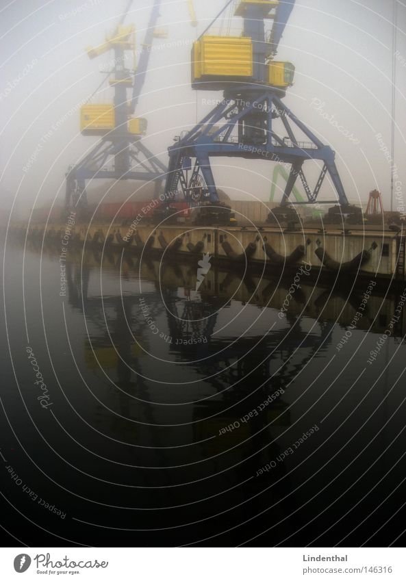 Hafenkran bei Nebel Schifffahrt Wismar Hamburg umschlaghagen Container Wallach Wasser Wanze Verkehr Ware Griff