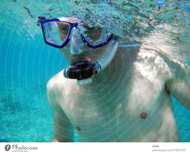 schräg tauchen Sommerurlaub Meer Wassersport Schwimmen & Baden Schnorcheln Tauchbrille Oberkörper frei beobachten Erholung genießen Jagd Blick stehen maritim