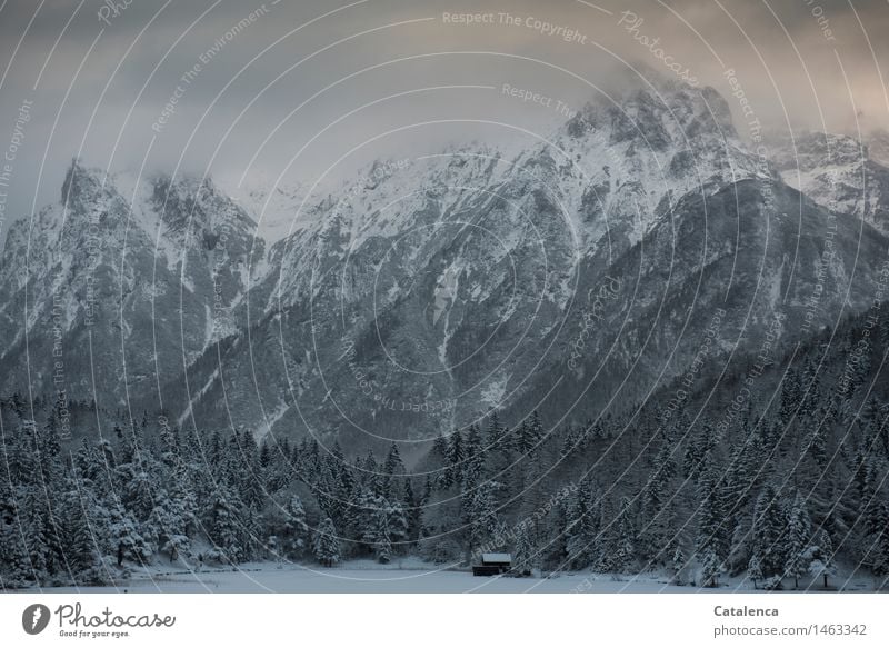 Dezembernachmittag am Bergsee Winter Schnee Berge u. Gebirge wandern Schneeschuhe Natur Landschaft Gewitterwolken schlechtes Wetter Tannen Wald Alpen Gipfel