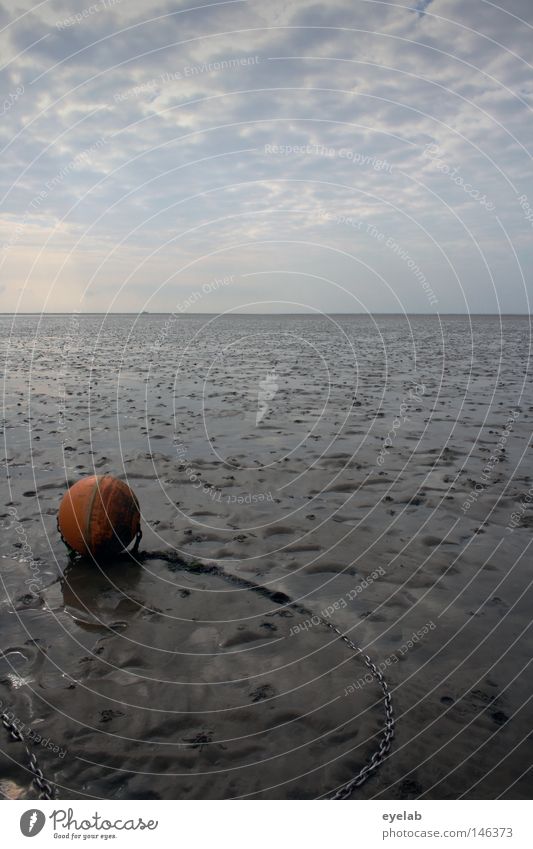 Einsamer Fremdkörper Küste Strand Wolken Herbst Boje Anker verankern rot Ebbe Platz Ferne nah Unendlichkeit Horizont Wattwandern Ferien & Urlaub & Reisen