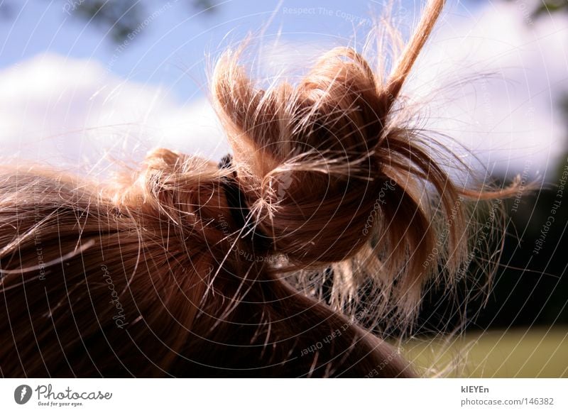 haarig Haare & Frisuren Knoten Zopf Kamm blond Himmel Wiese Erholung lustig Freude Zufriedenheit