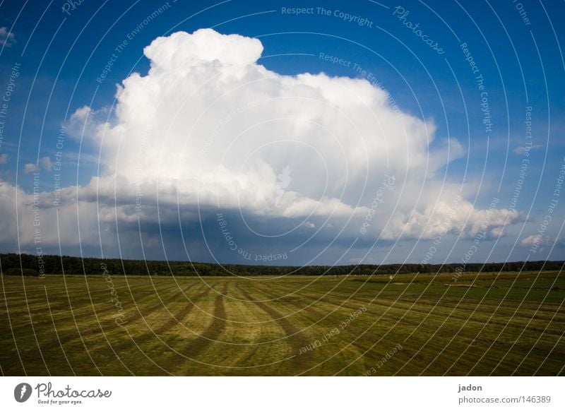 Wolken.Feld. Außenaufnahme Textfreiraum unten Erde Himmel Herbst Wetter Unwetter Wiese bedrohlich blau grün weiß Macht Energiewirtschaft Kraft Wolkendecke