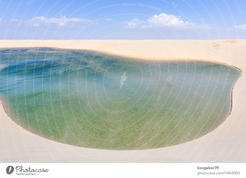 Grüne Lagune im Nationalpark Lencois Maranheses, Brasilien schön ruhig Ferien & Urlaub & Reisen Strand Natur Landschaft Sand Himmel Park See Oase blau amerika