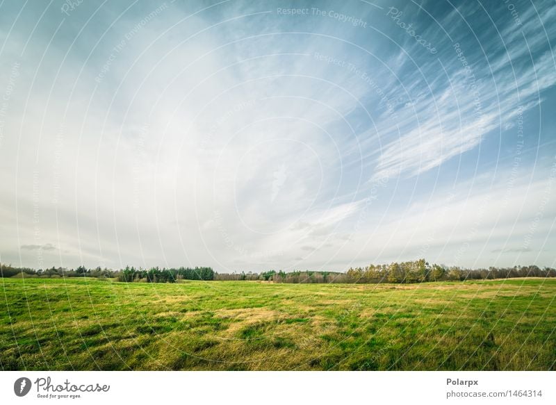 Drastischer Himmel über einem Landschaftsfeld Kräuter & Gewürze schön Sommer Sonne Umwelt Natur Pflanze Wolken Horizont Herbst Wetter Baum Gras Wiese Wald