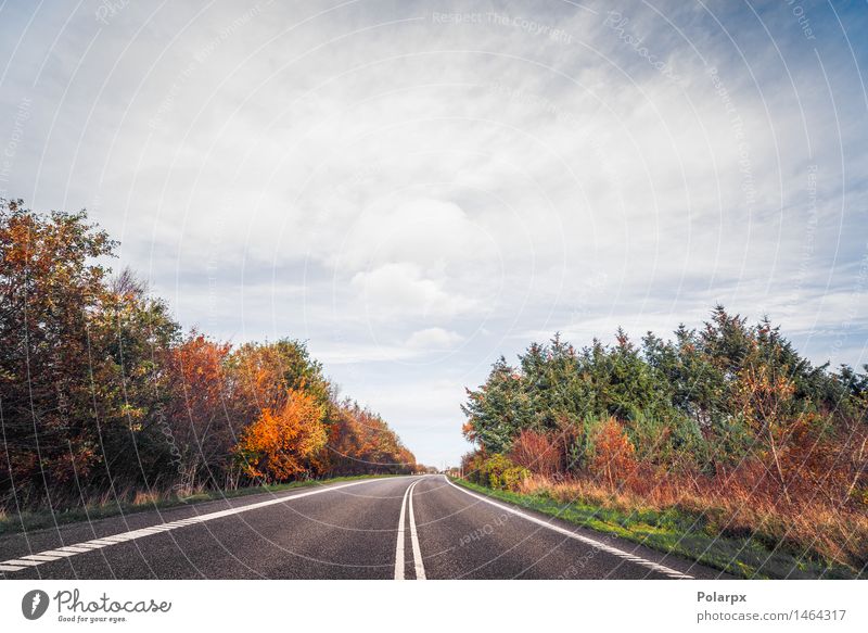 Autobahn umgeben von bunten Bäumen im Herbst schön Ferien & Urlaub & Reisen Ausflug Natur Landschaft Himmel Wolken Baum Gras Blatt Park Wiese Wald Straße