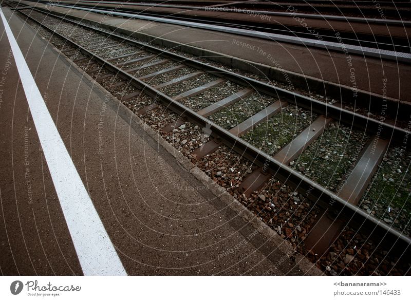 Auf der Flucht Eisenbahn S-Bahn Gleise Fluchtpunkt Ferne Unendlichkeit fahren Verkehr Ferien & Urlaub & Reisen Schweiz Kies Öffentlicher Dienst Bahnhof Linie