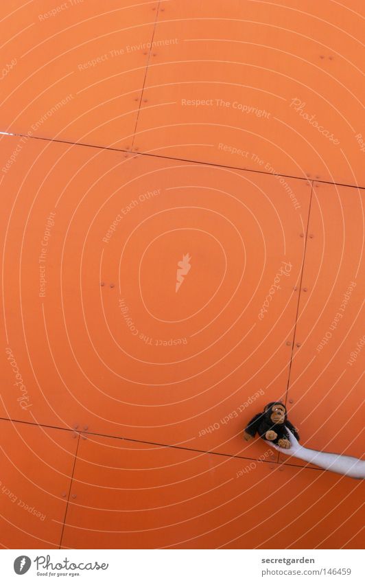 [HH08.03] François' höhenflug Affen Wand Hand verrückt Kuscheln braun Hautfarbe Naht Nähen Stahl Äffchen Ferne nah Raum Plattenbau Stofftiere Spielzeug Gorilla