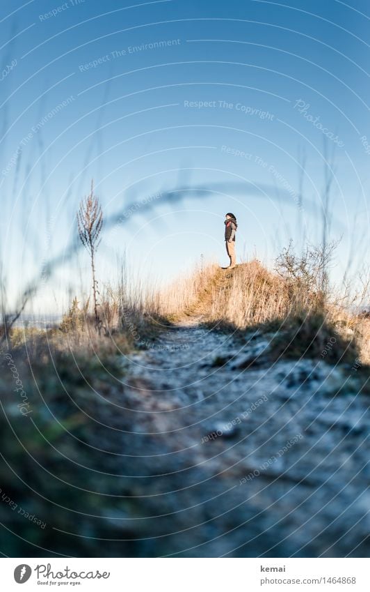 Person auf einem Hügel im Winter Lifestyle Ausflug Abenteuer Ferne Freiheit Mensch 1 Umwelt Natur Landschaft Tier Sonnenlicht Schönes Wetter Pflanze