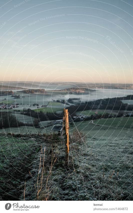 Im Licht des Morgens Umwelt Natur Landschaft Wolkenloser Himmel Sonnenaufgang Sonnenuntergang Sonnenlicht Winter Schönes Wetter Nebel Eis Frost Wiese Feld Wald