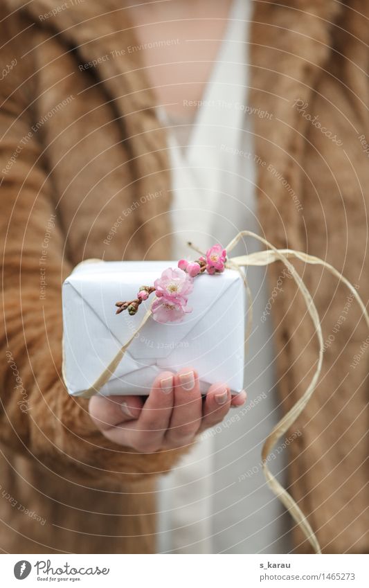 Valentinstag Lifestyle Feste & Feiern Geburtstag Mensch feminin Hand Finger Frühling Winter Baum Fell schön kuschlig Gefühle Freude Glück Fröhlichkeit