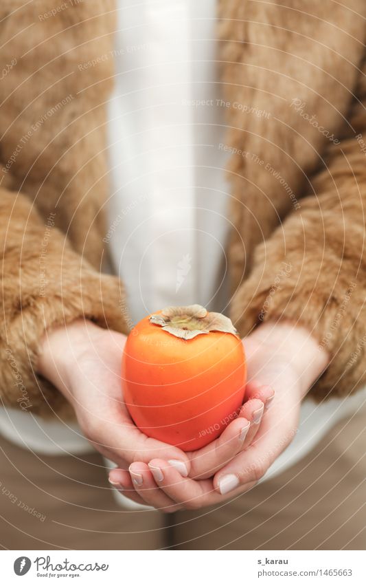 Wintervitamine Lebensmittel Frucht Ernährung Vegetarische Ernährung Gesundheit Gesunde Ernährung Frau Erwachsene Hand Jacke Fell Essen kuschlig orange kalt Kaki