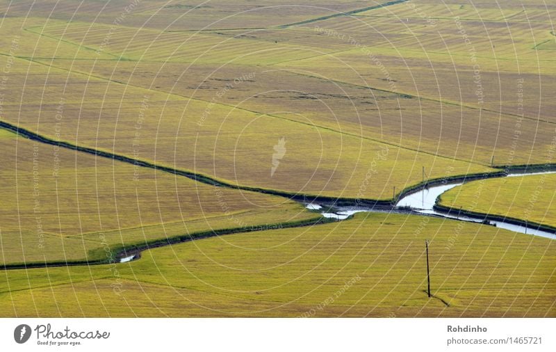 Flußfelder Ferien & Urlaub & Reisen Tourismus Ausflug Abenteuer Ferne Sommer Landwirtschaft Forstwirtschaft Natur Landschaft Wasser Schönes Wetter Getreide