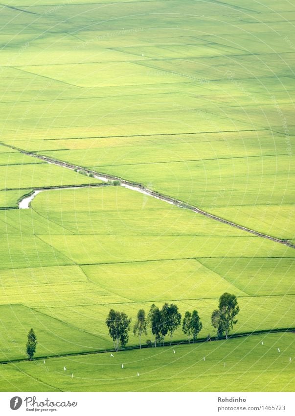 all green Reis Ferien & Urlaub & Reisen Tourismus Ausflug Abenteuer Ferne Freiheit Landwirtschaft Forstwirtschaft Umwelt Natur Landschaft Wasser Sommer Pflanze