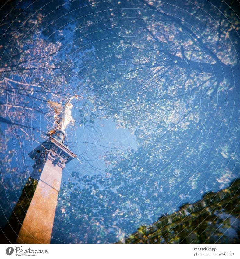 Hoch oben in den Bäumen.. Holga Lomografie Vignettierung dunkel hell Natur Baum Schatten Licht analog Statue Geometrie Sockel heilig Ikonen Wien Kreis Rathaus