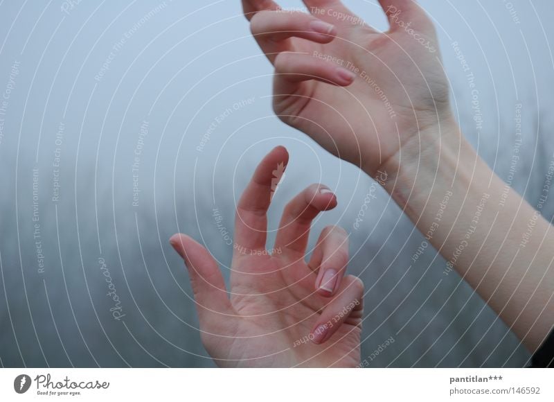 Hände im Nebel Hand mystisch Bewegung ästhetisch Anmut edel schön Gemälde Frau Finger Daumen Biegung biegen 5 10 Gelenk gelenkig Sehne Baum Herbst dunkel kahl