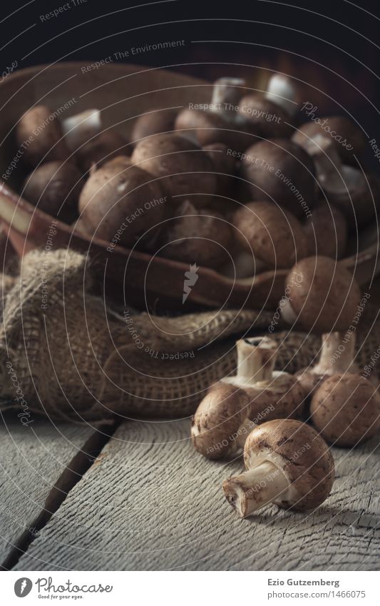 Frische Champignons in einer Schüssel Lebensmittel Gemüse Ernährung Mittagessen Abendessen Festessen Bioprodukte Vegetarische Ernährung Diät Fasten Slowfood