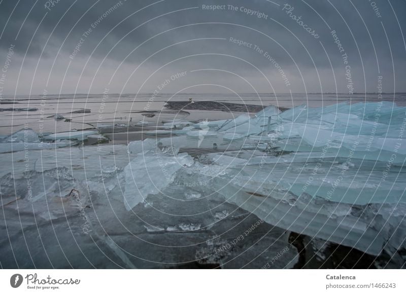 Pool im Eis, Eisplatten die der Wind am Achterwasser übereinander geschoben hat Schwimmen & Baden Strand Winter Umwelt Natur Wasser Gewitterwolken