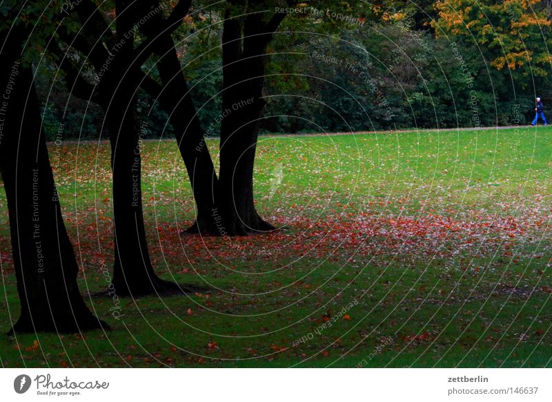 Hasenheide Kreuzberg Neukölln Park Grünfläche Landwirtschaft Gartenbau Natur authentisch Ferien & Urlaub & Reisen Feierabend atmen Sauerstoff Abend Dämmerung