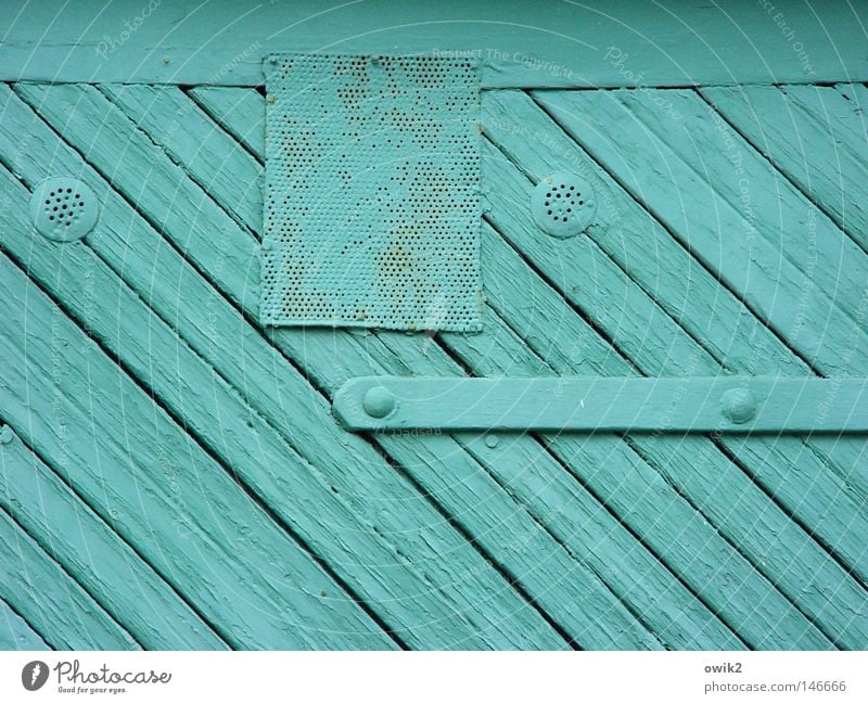 tür kis Holz Farbe Farbstoff Farben und Lacke Strukturen & Formen streichen bemalt Tür Tor Garage Wetterschutz mint türkis vollständig Belüftung geschlossen