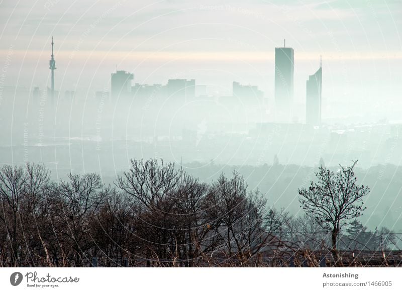 Nebel über Wien II Umwelt Natur Landschaft Pflanze Luft Himmel Horizont Herbst Wetter Baum Sträucher Wald Hügel Österreich Stadt Hauptstadt Skyline Haus