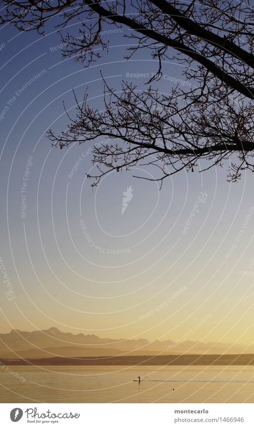 das ziel naht....2016 Umwelt Natur Landschaft Pflanze Urelemente Luft Wasser Himmel Wolkenloser Himmel Horizont Sonnenlicht Herbst Klima Schönes Wetter Baum