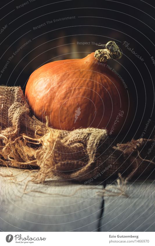 Hokkaido auf einem Holztisch vor einem offenen Feuer Lebensmittel Gemüse Frucht Ernährung Mittagessen Abendessen Bioprodukte Vegetarische Ernährung Diät