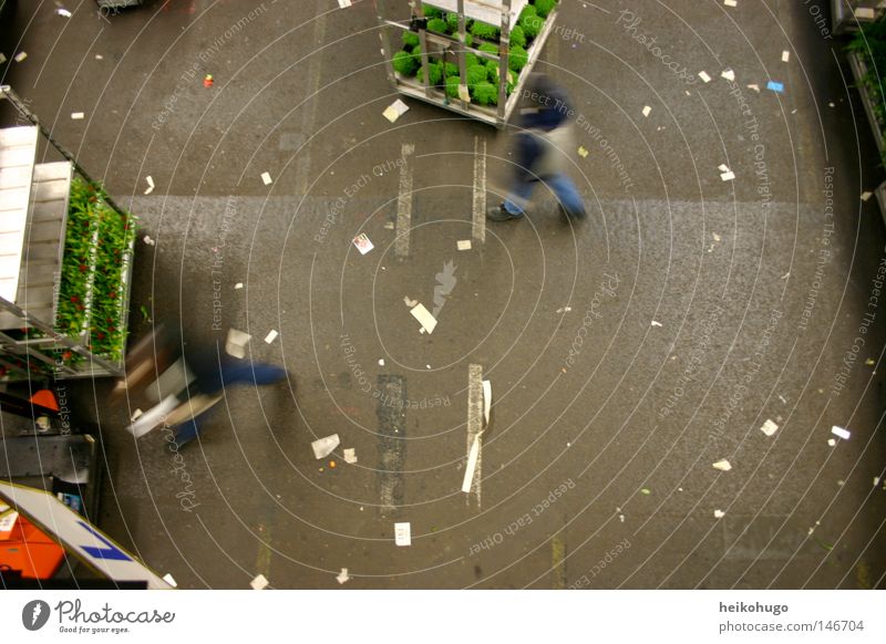 Aalsmeer Blume Handel Versteigerung Halle Bodenbelag Mensch Vogelperspektive Niederlande Arbeit & Erwerbstätigkeit