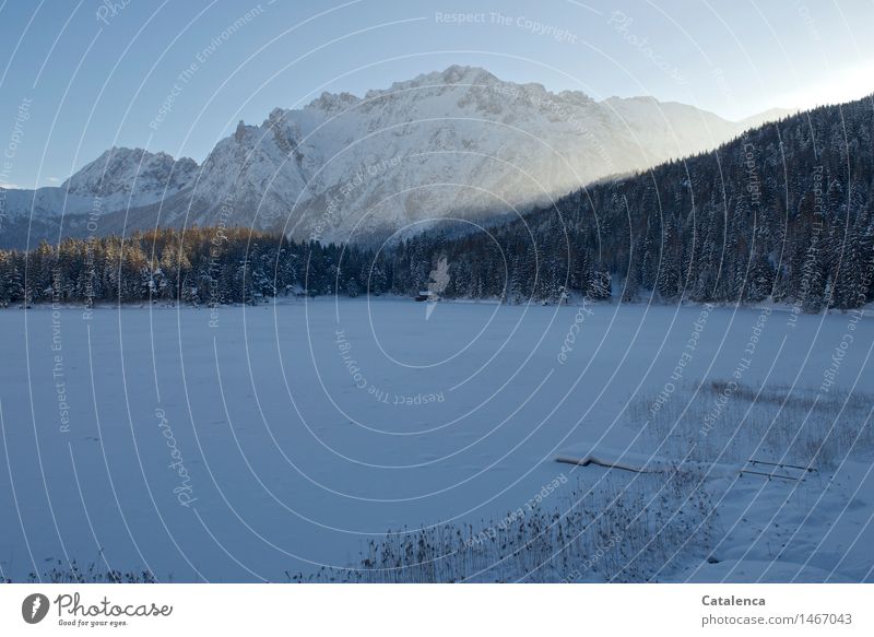 Vorfreude, zugefrorener Bergsee im Morgenlicht Winter Schnee Winterurlaub Berge u. Gebirge wandern Natur Landschaft Pflanze Wasser Sonne Sonnenaufgang