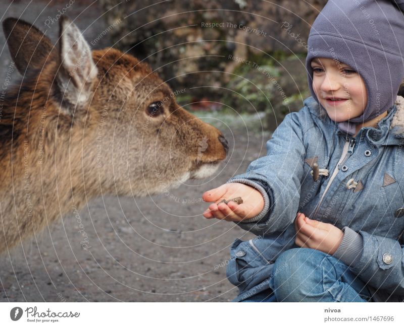 füttern Lebensmittel Mensch maskulin Kind Junge 1 3-8 Jahre Kindheit Mode Jeanshose Jacke Mütze Tier Wildtier Reh beobachten entdecken Essen Lächeln warten