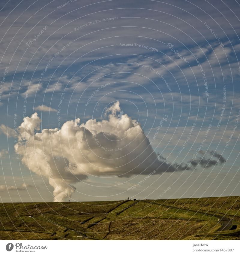 Bodenhaftung Landschaft Himmel Wolken Herbst Schönes Wetter Park Wiese Hügel Wege & Pfade Natur Umwelt Abraumhalde Bergehalde Halde Herten Hoheward