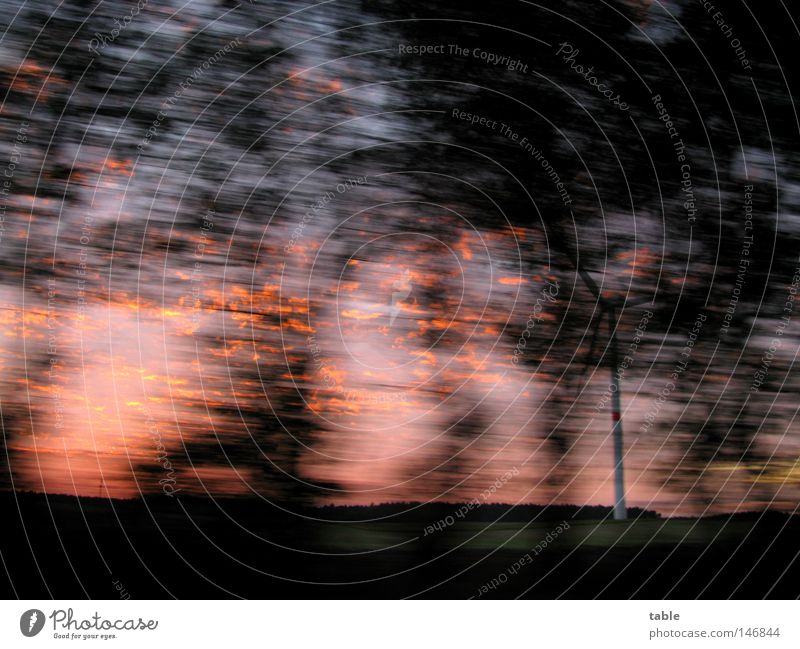 unterwegs Straße Baum Abend Herbst fahren Ausflug schwarz rot blau Bewegungsunschärfe Geschwindigkeit dunkel Freude Abenddämmerung