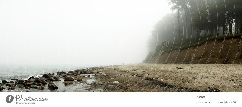 Baltic Sea Nebel Strand Meer Ostsee Panorama (Aussicht) Fog groß Panorama (Bildformat)