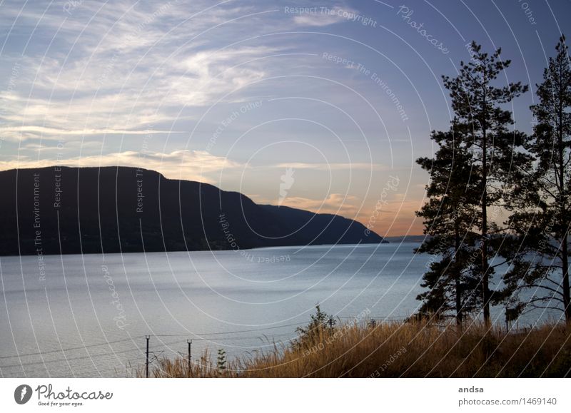 Sonnenuntergang am Mjøsa See Umwelt Natur Landschaft Tier Wasser Himmel Wolken Sonnenaufgang Sonnenlicht Frühling Sommer Herbst Wetter Schönes Wetter Baum Gras