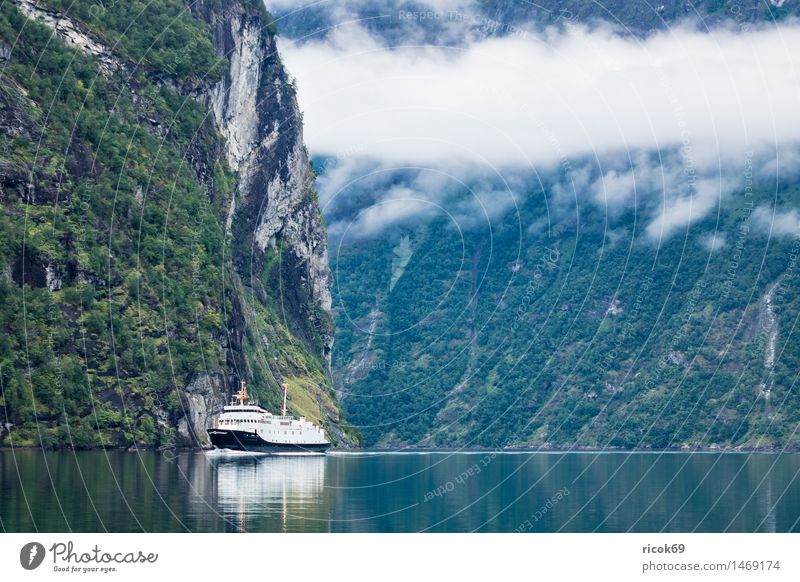 Blick auf den Geirangerfjord Erholung Ferien & Urlaub & Reisen Berge u. Gebirge Natur Landschaft Wasser Wolken Nebel Küste Fjord Verkehr Verkehrswege