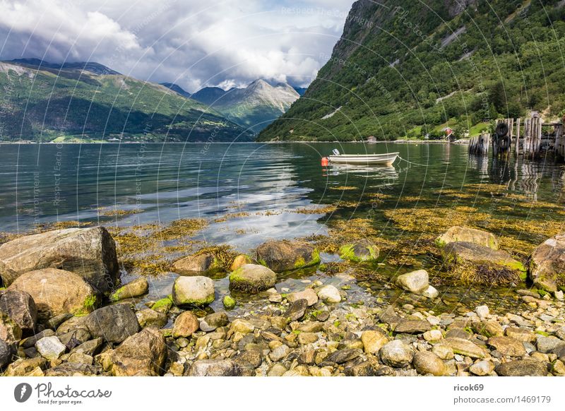 Boot am Storfjord Erholung Ferien & Urlaub & Reisen Berge u. Gebirge Natur Landschaft Wasser Wolken Fjord Motorboot Wasserfahrzeug Stein Idylle Tourismus