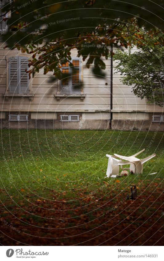 Sommerende Wiese grün Haus groß Villa Aarau Rasen Stuhl weiß liegen Gartenstuhl alt Blatt Herbst mehrfarbig Baum Fenster orange Physik Abend Abschied Wärme