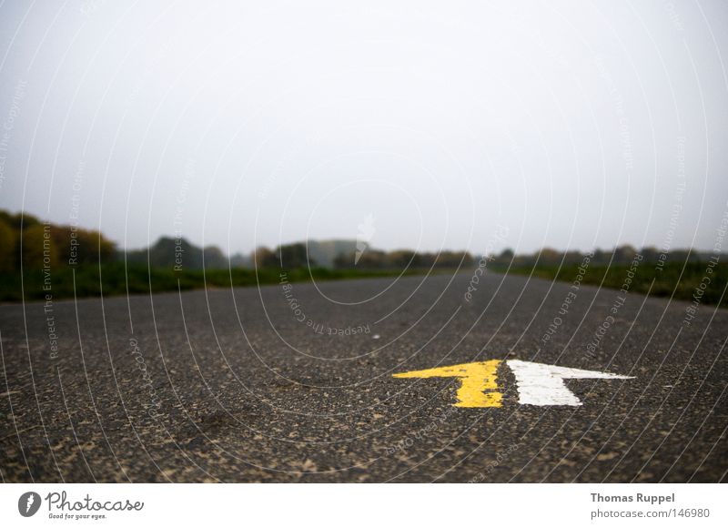 Geradeaus Farbfoto Außenaufnahme Menschenleer Textfreiraum oben Tag Weitwinkel Blick nach vorn Ferne Freiheit Himmel Herbst Verkehrswege Personenverkehr Straße