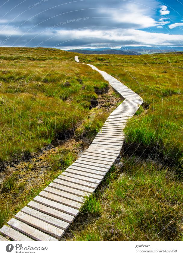 Schmaler Holzpfad durch Heidelandschaft in Schottland Ferien & Urlaub & Reisen Ausflug Abenteuer Ferne Freiheit Sommer wandern Umwelt Natur Landschaft Himmel