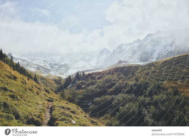 Weg zum Schnee Natur Landschaft Erde Himmel Wolken Sommer Baum Gras Sträucher Wiese Wald Hügel Felsen Alpen Berge u. Gebirge Gipfel Schneebedeckte Gipfel