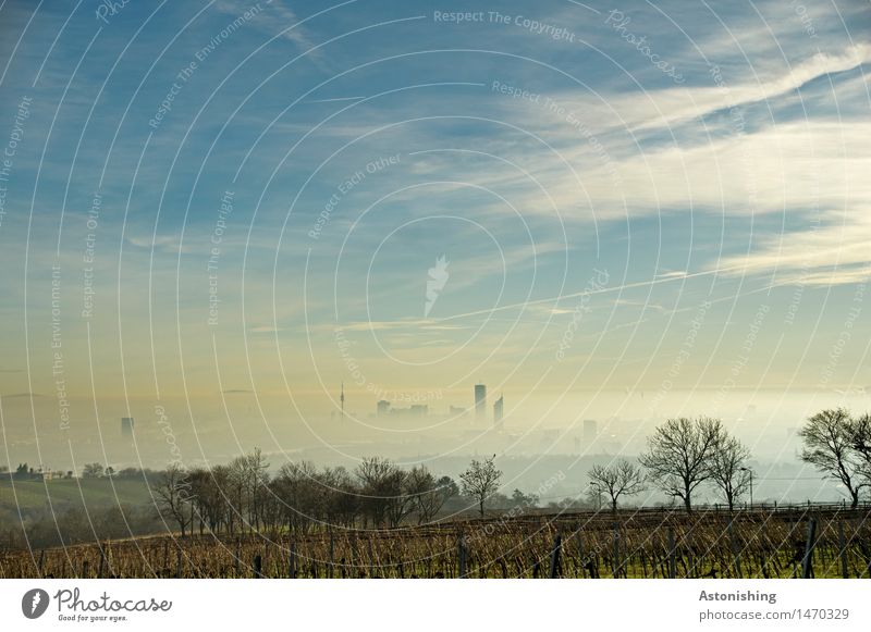 Nebel über Wien I Umwelt Natur Landschaft Pflanze Luft Himmel Wolken Horizont Herbst Wetter Schönes Wetter Gras Sträucher Feld Wald Hügel Österreich Stadt