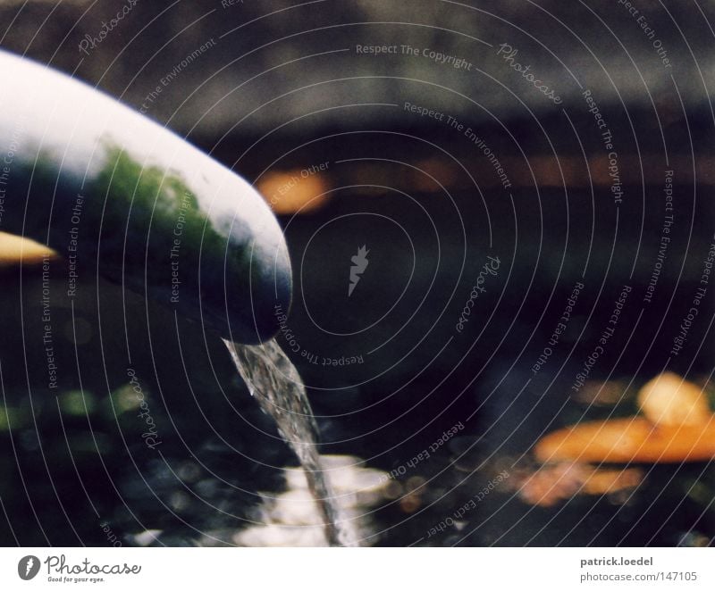 [HH08.4] Wasserspende Brunnen Friedhof Herbst Wasserstrahl Unschärfe Grünspan Blume Blatt Vergänglichkeit Grabpflege Quelle Schlauch Leben Röhren