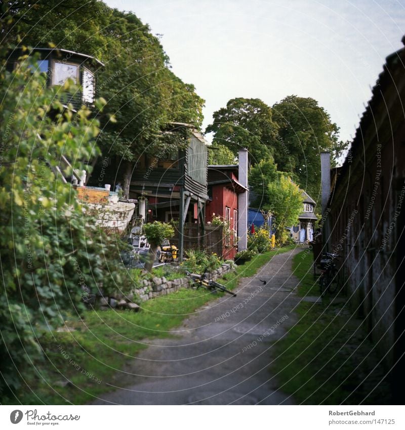 Kopenhagen01 grün Baum Baumhaus Hütte Wege & Pfade Himmel blau Häusliches Leben Wohnung Unterkunft Holz Haus Europa Christiana Kiew88 Kodak Portra 400NC