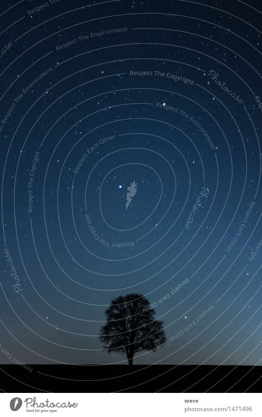 Nachthimmel Landwirtschaft Forstwirtschaft Natur Landschaft Pflanze Herbst Baum Blatt Wiese Feld Wald Blühend kalt Umweltschutz Austrieb Biotop Geografie Himmel