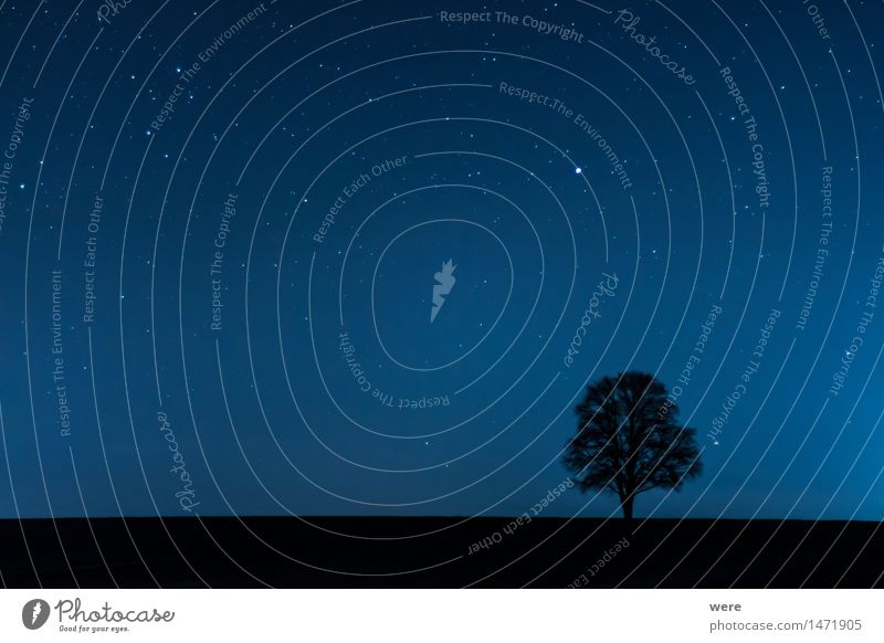 Alleinstellungsmerkmal Landwirtschaft Forstwirtschaft Natur Landschaft Pflanze Nachthimmel Herbst Baum Blatt Wiese Feld Wald Blühend kalt oben Umweltschutz