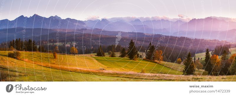 Sonniger Abend im Herbst. Sonnenuntergang in Bergen. Ferien & Urlaub & Reisen Tourismus Ausflug Freiheit Natur Landschaft Himmel Wolken Baum Gras Wiese Wald