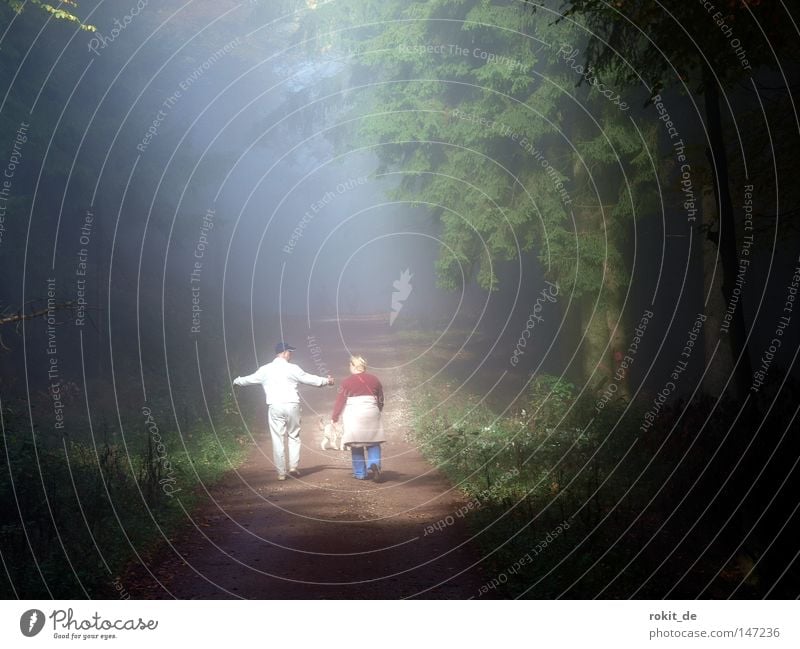 Spaziergang im Nebel Wald Frau Mann Hund Licht hell geschlossen Fußweg Wege & Pfade Baum Arme ausbreiten sprechen laufen gehen wandern Forstweg Strahlung Sonne