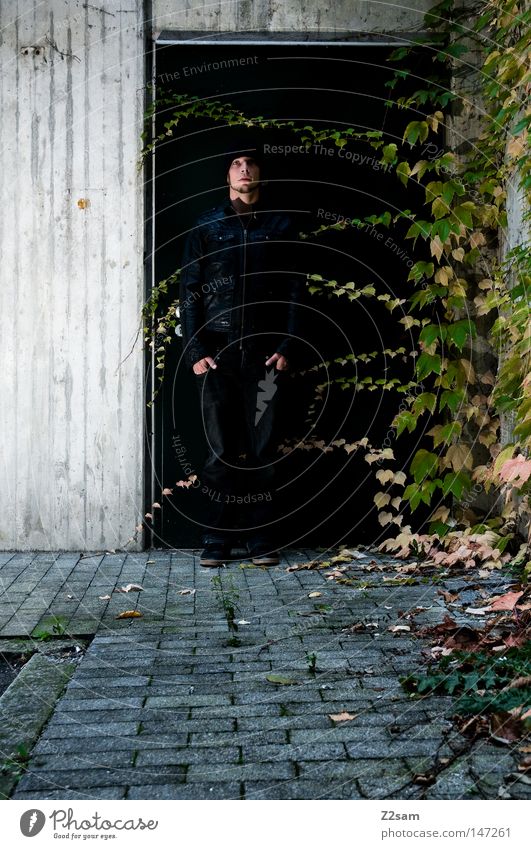 nachtschattengewächs Nachtschattengewächse Pflanze Efeu Wachstum grün Beton Teer schwarz Mütze Leder Lederjacke Stil stehen bewegungslos glänzend Wand Mann