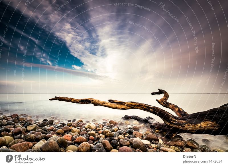 Strandgut Meer Natur Landschaft Sand Wasser Wolken Horizont Herbst Küste Ostsee Stein blau braun schwarz weiß Mecklenburg-Vorpommern steinig Holz Totholz